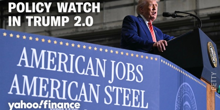 Trump and China’s Xi, Elon Musk, tax bill, steel tariffs: Policy expert weighs in Trump and China’s Xi, Elon Musk, tax bill, steel tariffs: Policy expert weighs in