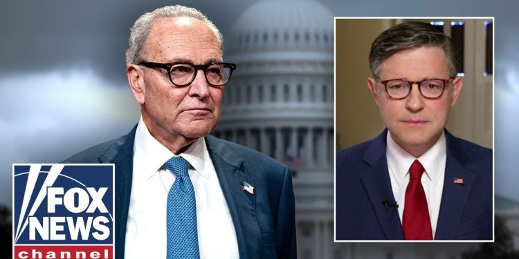Mike Johnson says Dems are ‘AFRAID’ of Schumer: ‘There’ll be a price to pay’ Mike Johnson says Dems are ‘AFRAID’ of Schumer: ‘There’ll be a price to pay’