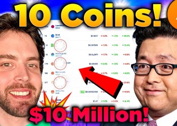 Top 10 Crypto Coins YOU MUST BUY Before the 2025 Bitcoin BOOM!? Top 10 Crypto Coins YOU MUST BUY Before the 2025 Bitcoin BOOM!?