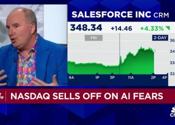 The DeepSeek panic sell-off is a golden buying opportunity for Nvidia, says Wedbush’s Dan Ives The DeepSeek panic sell-off is a golden buying opportunity for Nvidia, says Wedbush’s Dan Ives