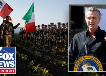 REVEALED: California pot farm owner’s ties to Newsom REVEALED: California pot farm owner’s ties to Newsom