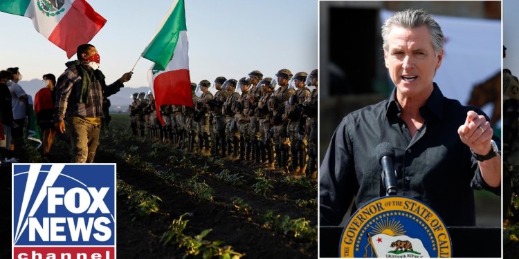 REVEALED: California pot farm owner’s ties to Newsom REVEALED: California pot farm owner’s ties to Newsom