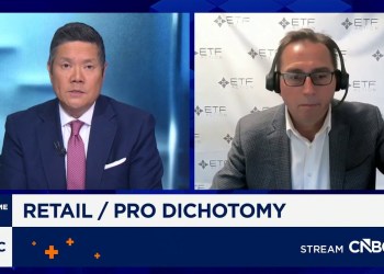 ETF investors: The divide between retail and institutional ETF investors: The divide between retail and institutional