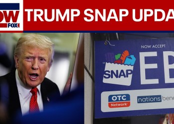 Trump says SNAP won’t be paid until shutdown ends | LiveNOW from FOX Trump says SNAP won’t be paid until shutdown ends | LiveNOW from FOX