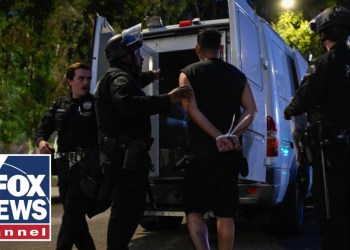 Push to use taxpayer dollars on illegal migrants sparks MAJOR controversy Push to use taxpayer dollars on illegal migrants sparks MAJOR controversy