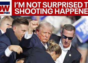 BREAKING: Former Secret Service agent says ‘not surprised’ Donald Trump shooting happened BREAKING: Former Secret Service agent says ‘not surprised’ Donald Trump shooting happened