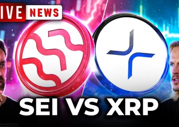 Bitcoin Price Pump INCOMING! SEI & XRP Have A Secret, Crypto Cycle & More! Bitcoin Price Pump INCOMING! SEI & XRP Have A Secret, Crypto Cycle & More!