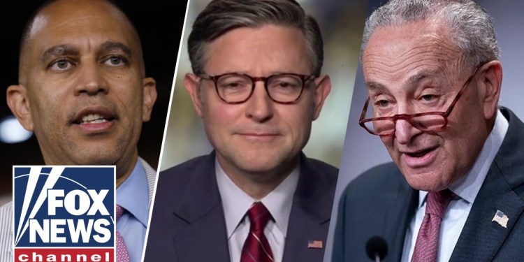 Mike Johnson: There is only ONE reason the Dems are doing this Mike Johnson: There is only ONE reason the Dems are doing this