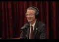 Joe Rogan Experience #2495 – Tim Burchett Joe Rogan Experience #2495 – Tim Burchett