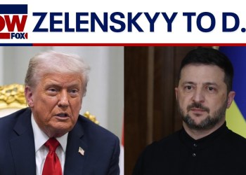 Trump, Zelenskyy to meet at White House this week Trump, Zelenskyy to meet at White House this week
