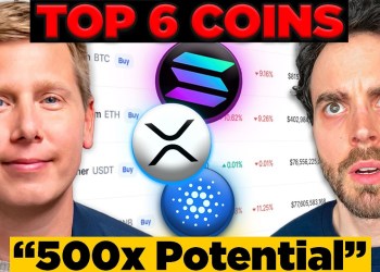 BEST Crypto Coins to Buy During Bitcoin Crash (500x potential) BEST Crypto Coins to Buy During Bitcoin Crash (500x potential)
