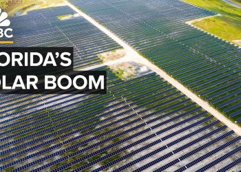 How Florida Quietly Became A Solar Powerhouse How Florida Quietly Became A Solar Powerhouse