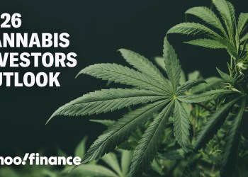 How to play cannabis stocks in 2026 How to play cannabis stocks in 2026