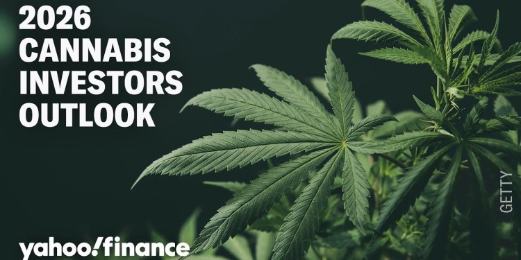 How to play cannabis stocks in 2026 How to play cannabis stocks in 2026