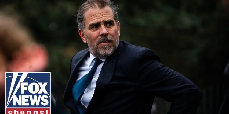 MSNBC pundit left speechless by Hunter Biden pardon news MSNBC pundit left speechless by Hunter Biden pardon news