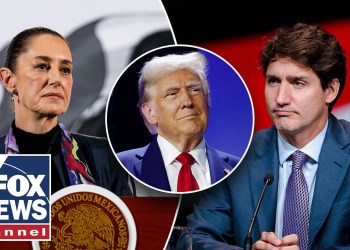 ‘BRAVE NEW WORLD’: Tariffs like this haven’t been seen in decades, expert says ‘BRAVE NEW WORLD’: Tariffs like this haven’t been seen in decades, expert says