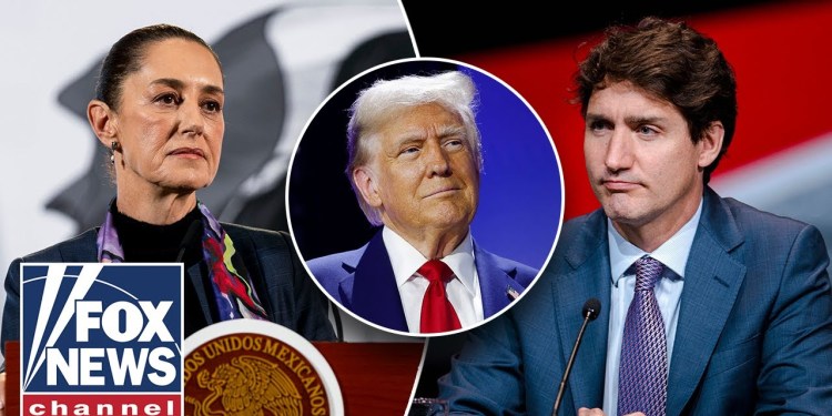 ‘BRAVE NEW WORLD’: Tariffs like this haven’t been seen in decades, expert says ‘BRAVE NEW WORLD’: Tariffs like this haven’t been seen in decades, expert says