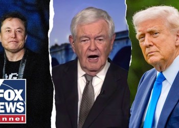Elon Musk ‘kind of forgot’ this about Trump: Newt Gingrich Elon Musk ‘kind of forgot’ this about Trump: Newt Gingrich