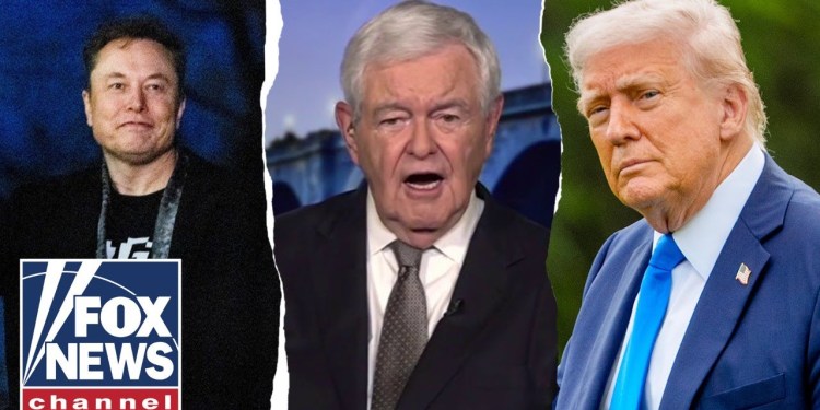 Elon Musk ‘kind of forgot’ this about Trump: Newt Gingrich Elon Musk ‘kind of forgot’ this about Trump: Newt Gingrich