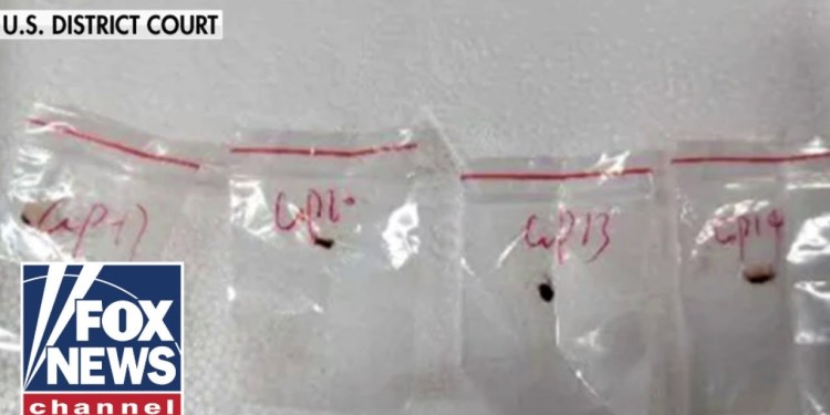 Chinese nationals charged with smuggling ‘devastating’ biological pathogen into US Chinese nationals charged with smuggling ‘devastating’ biological pathogen into US