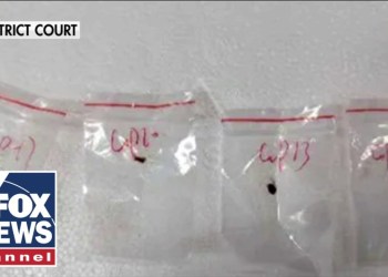 Chinese nationals charged with smuggling ‘devastating’ biological pathogen into US Chinese nationals charged with smuggling ‘devastating’ biological pathogen into US