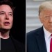 Trump sides with Elon Musk on H-1B visas following criticism: ‘A great program’ Trump sides with Elon Musk on H-1B visas following criticism: ‘A great program’