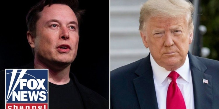 Trump sides with Elon Musk on H-1B visas following criticism: ‘A great program’ Trump sides with Elon Musk on H-1B visas following criticism: ‘A great program’