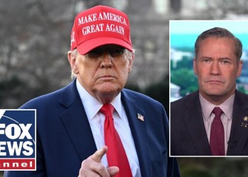 ‘Wrong president to try this with’: Michael Waltz on Zelenskyy exchange ‘Wrong president to try this with’: Michael Waltz on Zelenskyy exchange