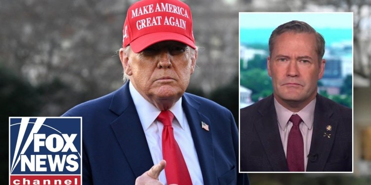 ‘Wrong president to try this with’: Michael Waltz on Zelenskyy exchange ‘Wrong president to try this with’: Michael Waltz on Zelenskyy exchange