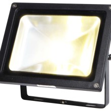 Außenstrahler DELTA 30, 30 Watt, 140 (H) x 180 (B) mm Außenstrahler DELTA 30, 30 Watt, 140 (H) x 180 (B) mm