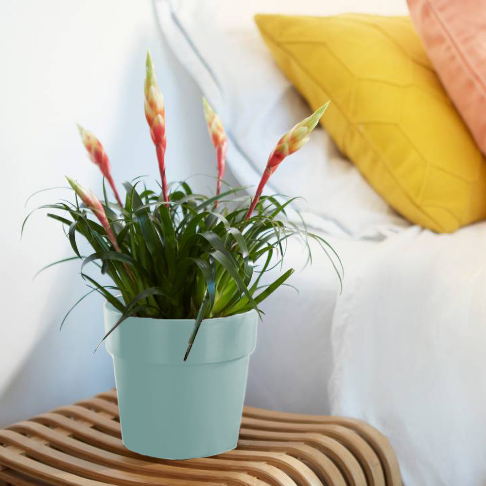 Blumentopf 2er-Set Mint 18x17cm 2,9L – Bild 2