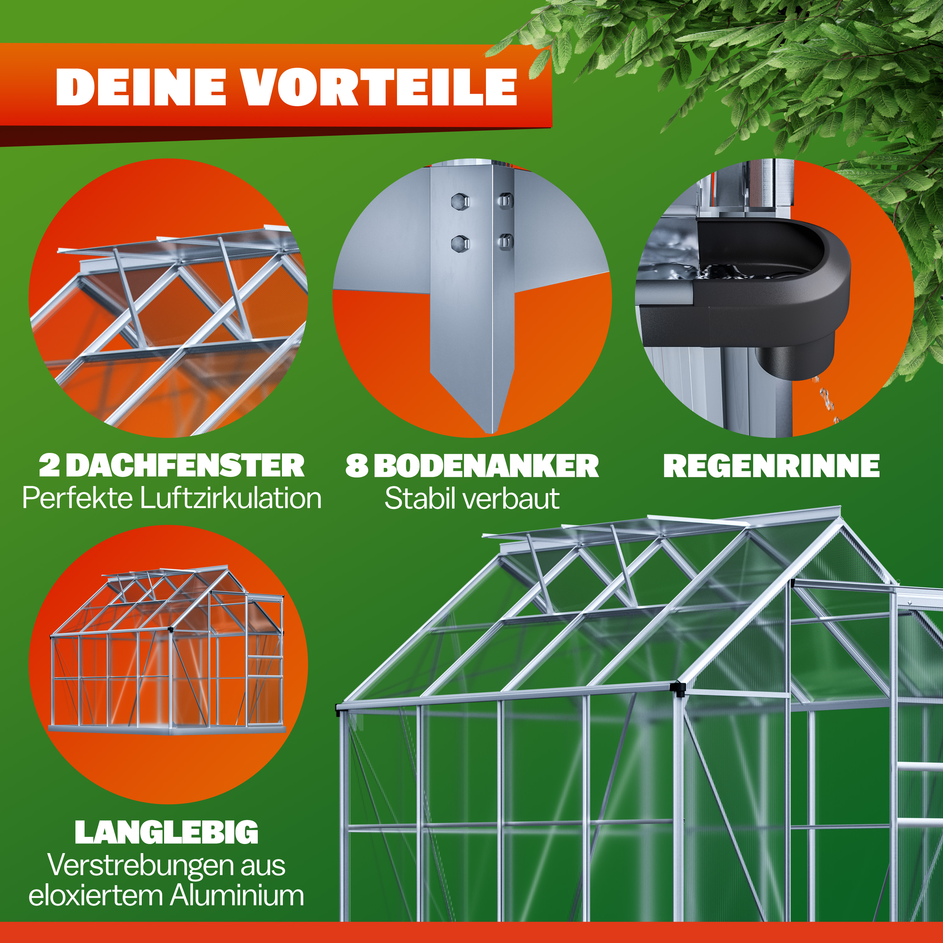 Alu Gewächshaus 250x190x195cm mit Fundament – Bild 2