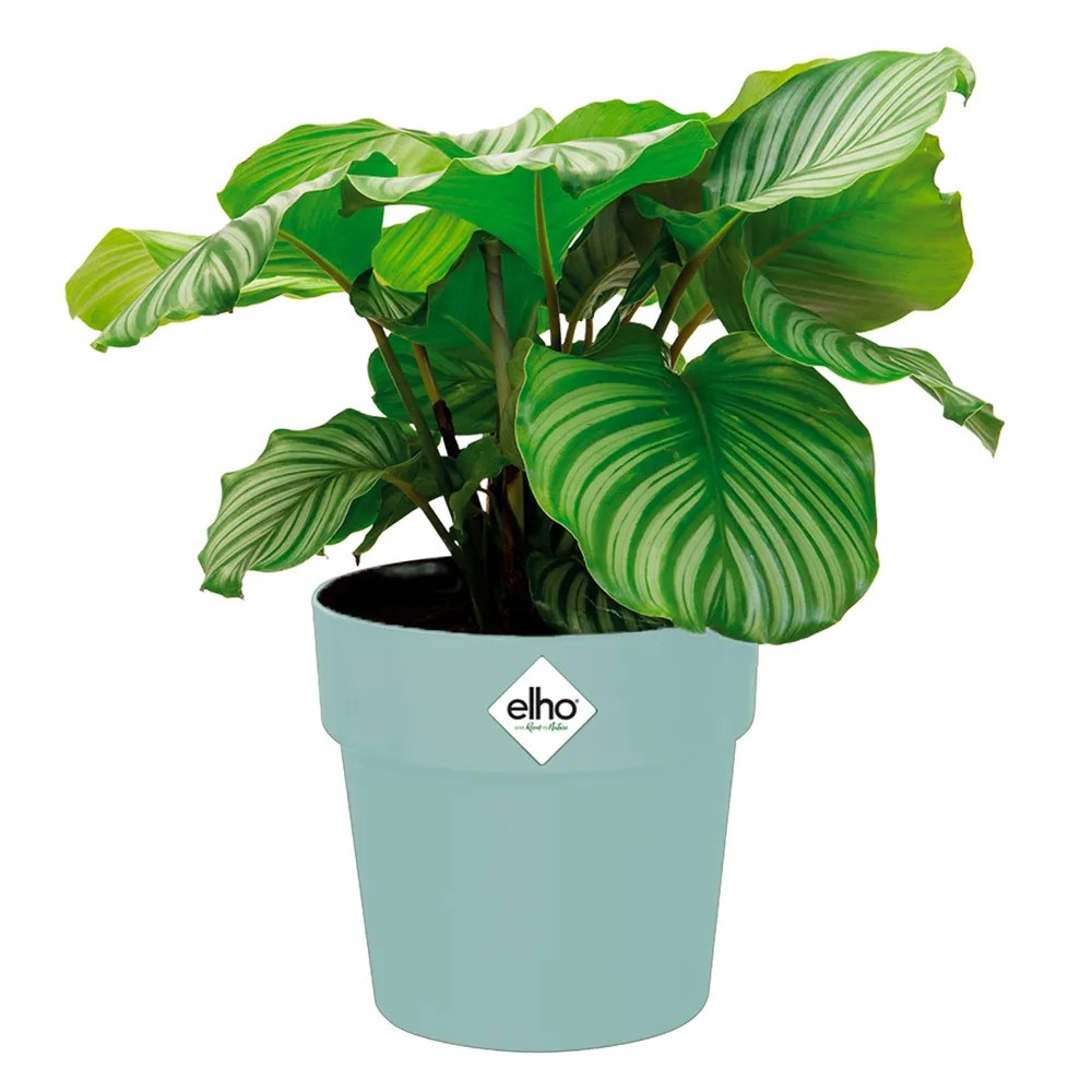 Blumentopf Mint 18x17cm 2,9L Blumentopf Mint 18x17cm 2,9L