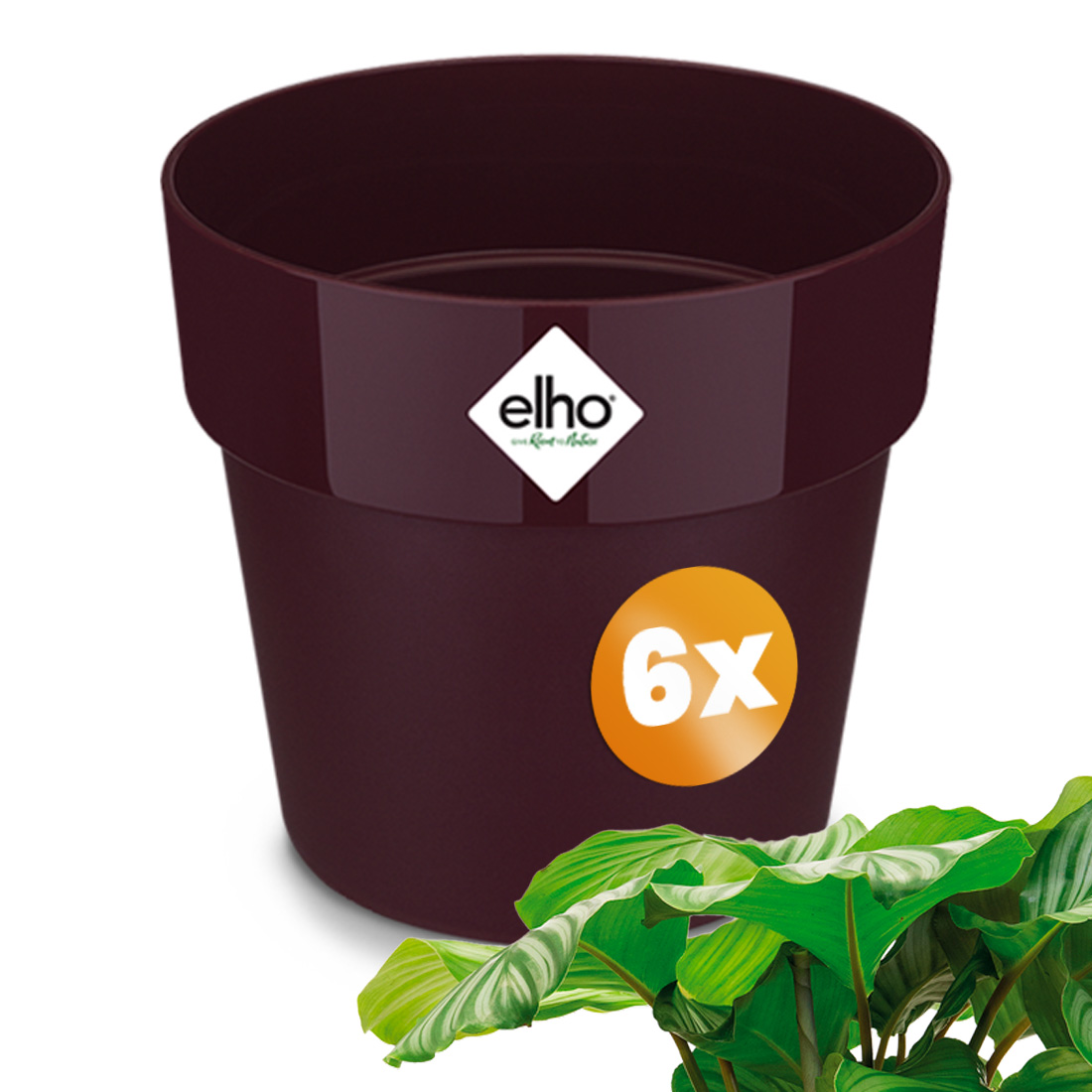 Blumentopf 6er-Set Maulbeere 30x27cm 13,3L Blumentopf 6er-Set Maulbeere 30x27cm 13,3L