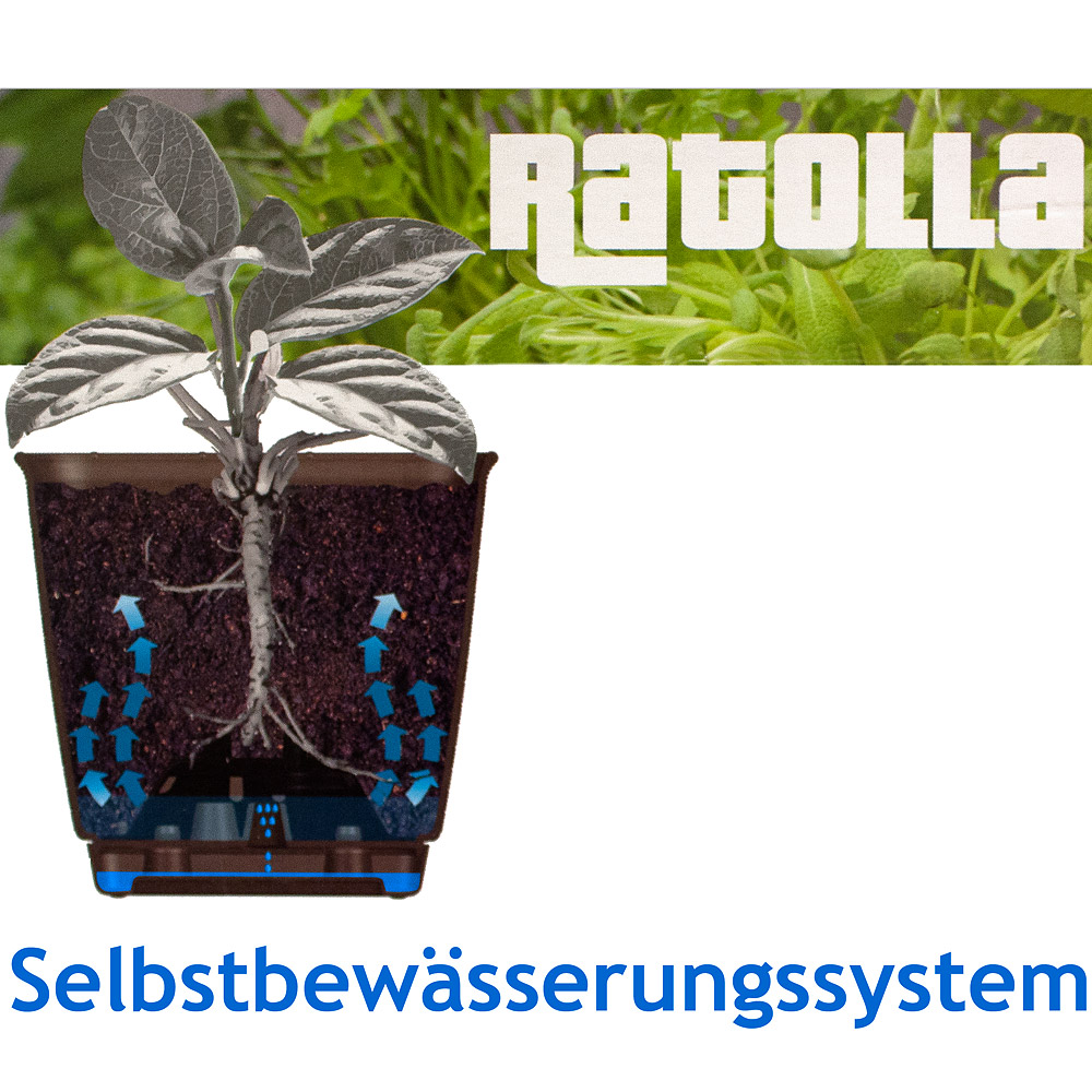 Balkonkasten Ratolla Weiß 49x16x17,5cm Bewässerungssystem – Bild 2