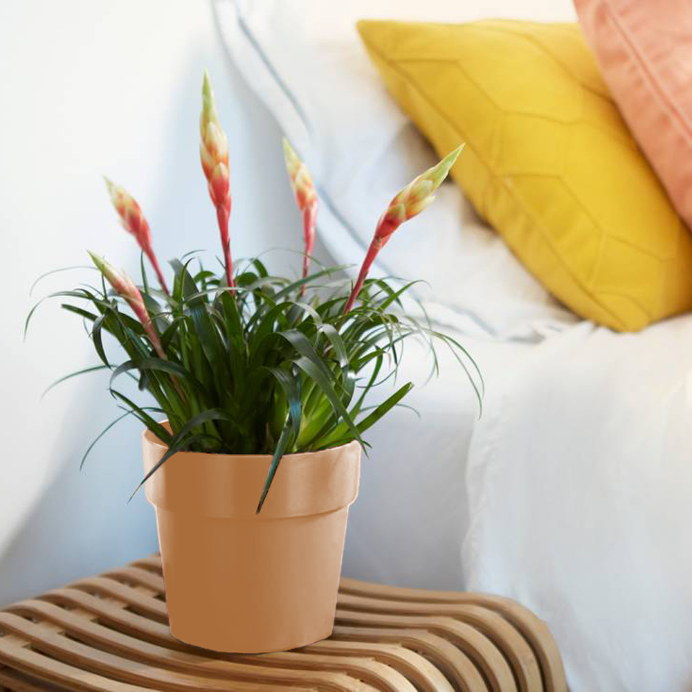 Blumentopf Nude 18x17cm 2,9L – Bild 2