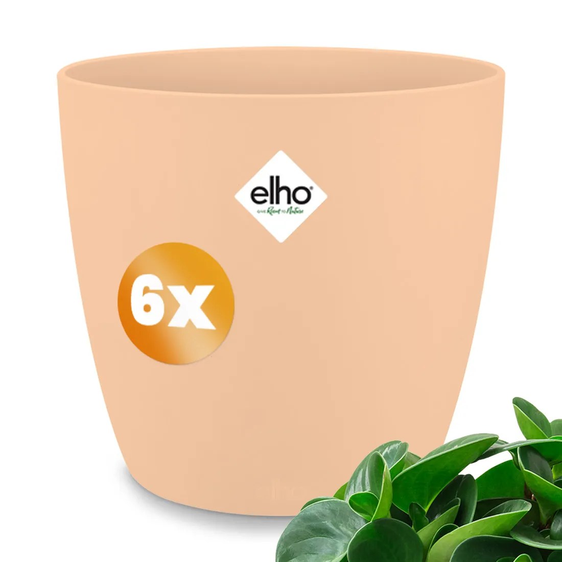 Blumentopf Brussels 6er-Set Pfirsich 18x17cm 3,3L Blumentopf Brussels 6er-Set Pfirsich 18x17cm 3,3L