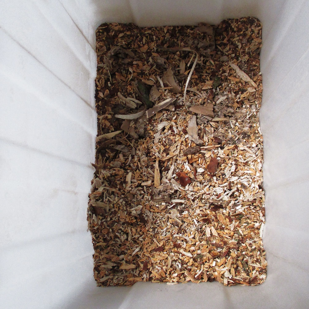 Häcksler 3100W mit Sammelbehälter 50L – Bild 2