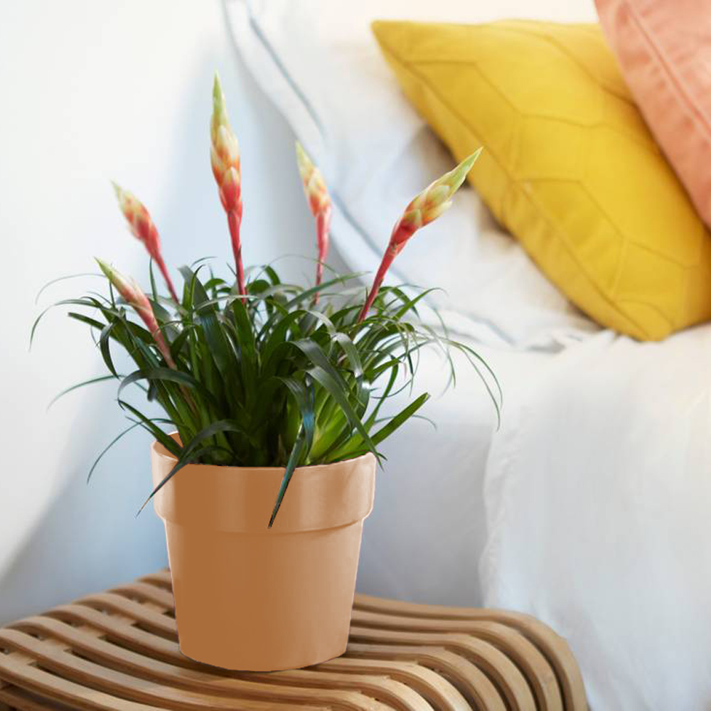 Blumentopf Pfirsisch 14x13cm 1,3L – Bild 2