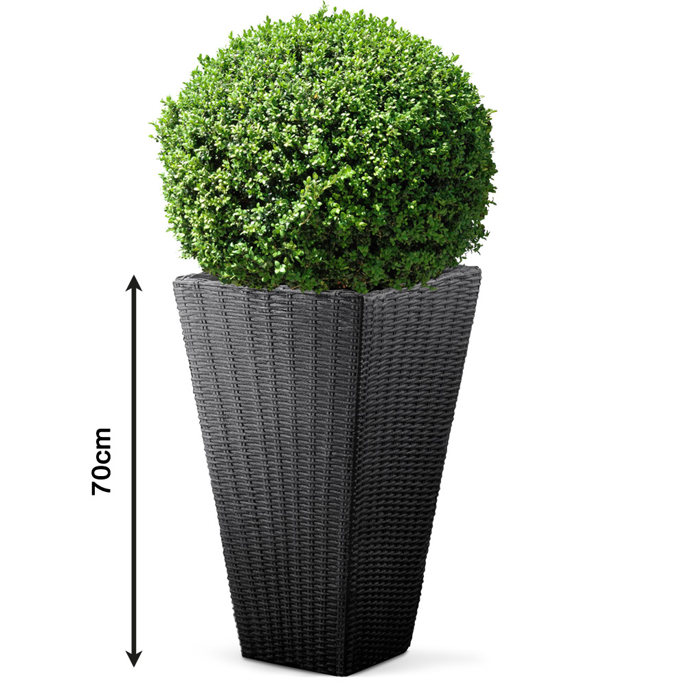 Blumentopf Anthrazit Polyrattan-Optik 70x40x40cm – Bild 2