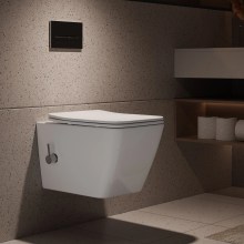 HOROW HB-L02U Wand Dusch-WC spülrandlos HOROW HB-L02U Wand Dusch-WC spülrandlos