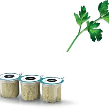 BOSCH Samenkapseln 17008488 BOSCH Samenkapseln 17008488