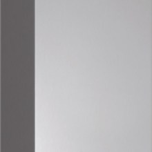 BOSCH Kaminverlängerung Teleskopverlängerung 1000 mm für Wandesse 00704541 BOSCH Kaminverlängerung Teleskopverlängerung 1000 mm für Wandesse 00704541