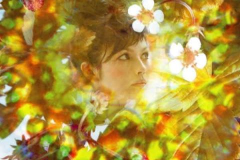 The One about OLIVIA – Trinka Trinka (2008) The One about OLIVIA – Trinka Trinka (2008)