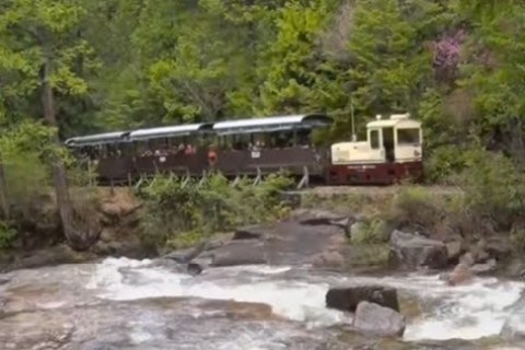 The One about the train that runs through Akasawa Natural Recreation Forest in Agematsu Town The One about the train that runs through Akasawa Natural Recreation Forest in Agematsu Town