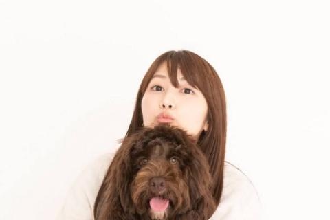 The One about Pito Camp camping at Fumotoppara with a great view of Mt. Fuji The One about Pito Camp camping at Fumotoppara with a great view of Mt. Fuji