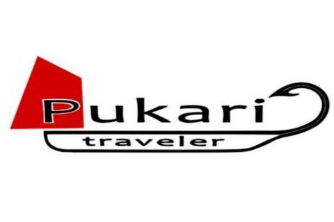 The One about Pukari Traveler checking out an electric wagon The One about Pukari Traveler checking out an electric wagon