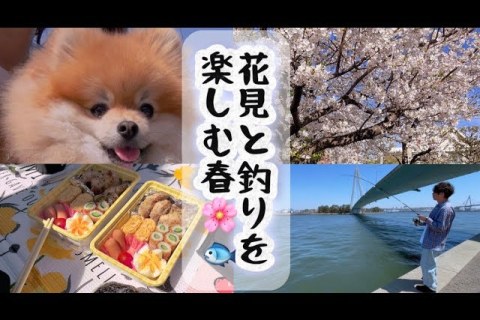 The One about the daily life of “me, my wife Pon, and Ponta” taking on the Yodogawa Seabass challenge The One about the daily life of “me, my wife Pon, and Ponta” taking on the Yodogawa Seabass challenge
