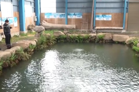 The One about the huge fishing pond in northern Shinano! The One about the huge fishing pond in northern Shinano!
