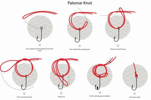 The One about how to tie a Palomar Knot The One about how to tie a Palomar Knot